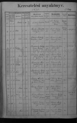 1873 · keresztelési anyakönyv – az okirat képe